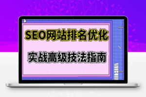 樊天华：SEO网站排名优化实战高级技法指南，让客户找到你