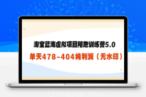 淘宝蓝海虚拟项目陪跑训练营5.0：单天478纯利润（无水印）